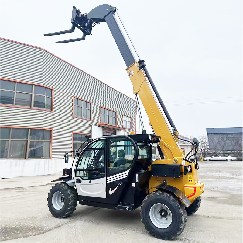 Zware Telescopische Handler 3  - Telescopic Handler Boom recensie en prijs