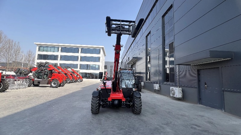 Op maat gemaakte mini diesel 6 - Telescopic Handler Boom recensie en prijs